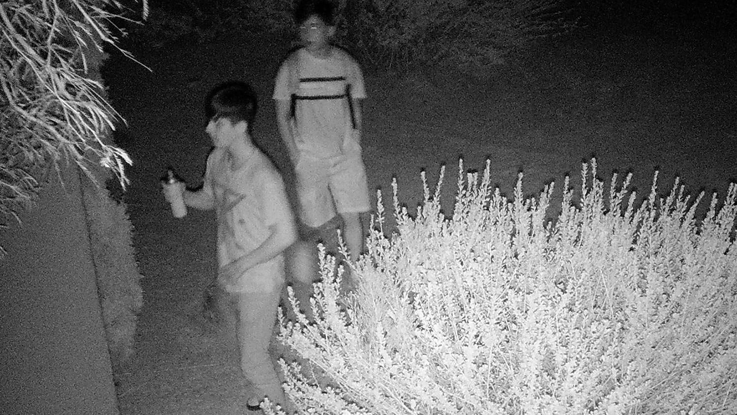 Facebook users help Marana police ID teens in graffiti case